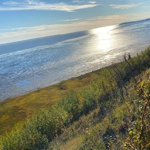 Meet your Posher, Loreley